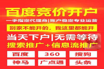 SEM公司案例分析：搜索引擎优化策略与执行